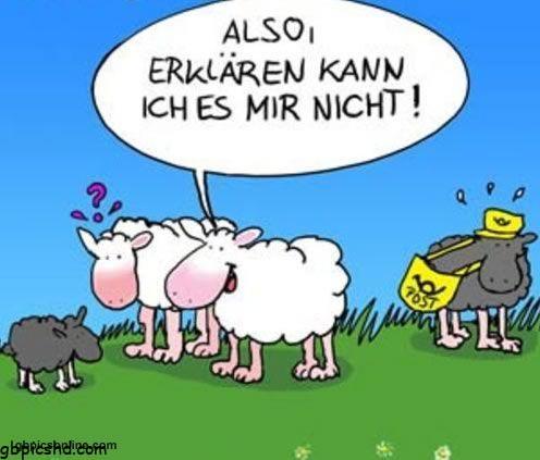ᐅ lustige bilder 8 - Wochentage Bilder GB Pics lustige bilder 8