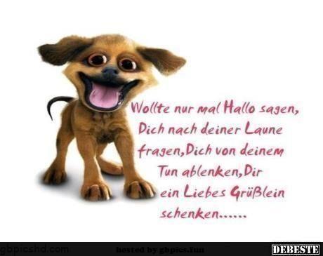Lustige bilder hallo sagen 001