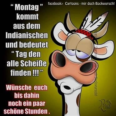 Lustige sonntagsbilder kostenlos 4 001