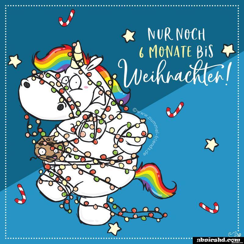 Lustige spruche in 6 monaten ist weihnachten 004