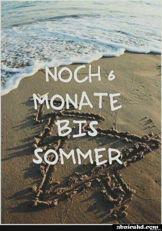 Lustige spruche in 6 monaten ist weihnachten 007