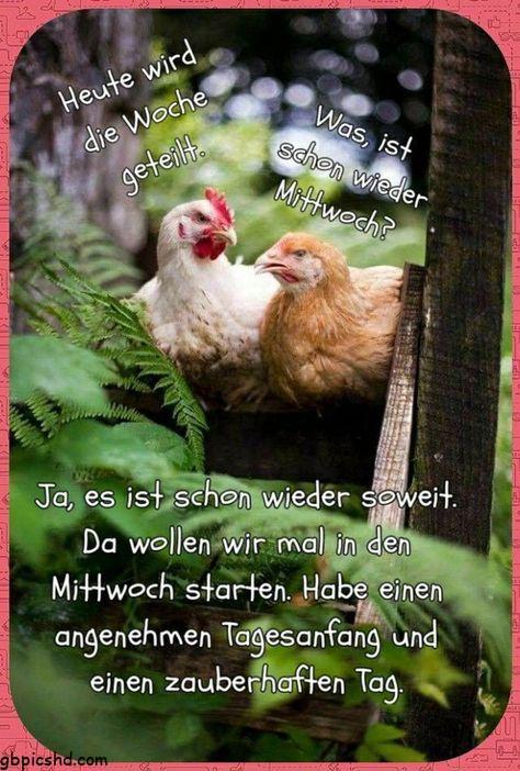 mittwoch bilder