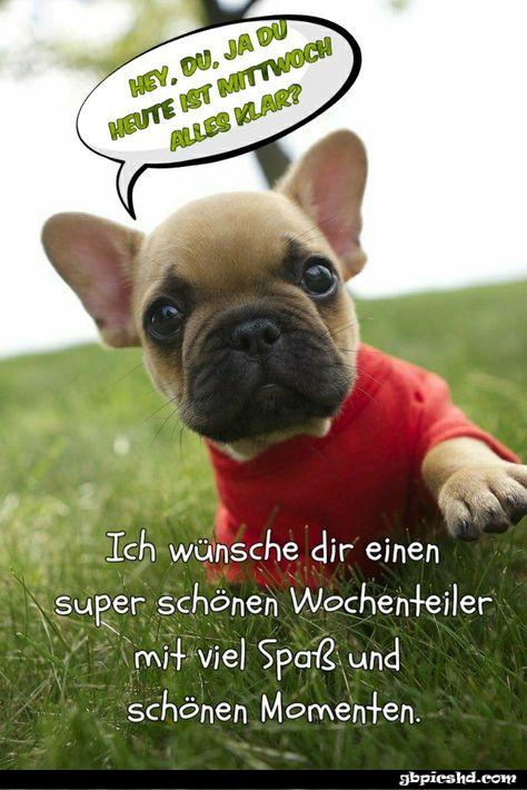 ᐅ mittwoch lustig - Mittwoch GB Pics Mittwoch lustig 002