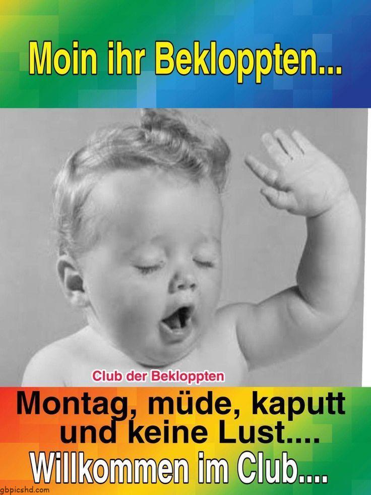 Moin montag spruchreif moin montag spruchreif 001