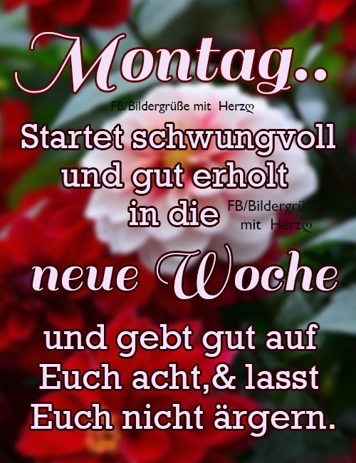 ᐅ montag bilder kostenlos herunterladen - Montag GB Pics Montag bilder kostenlos herunterladen 002