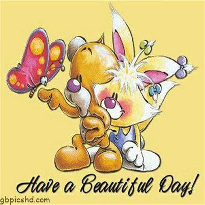 Morgenalle schon wach 41 002