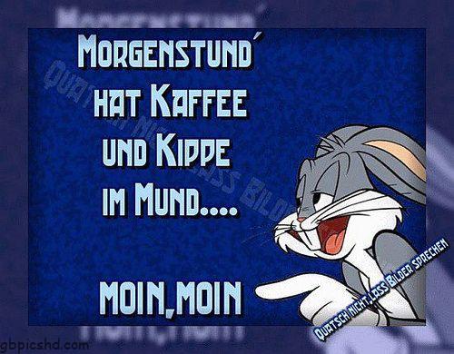 Morgenalle schon wach 41 003