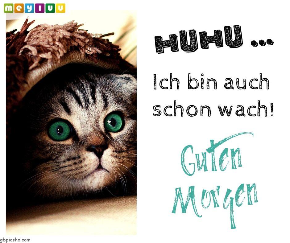 Morgenalle schon wach 41 006