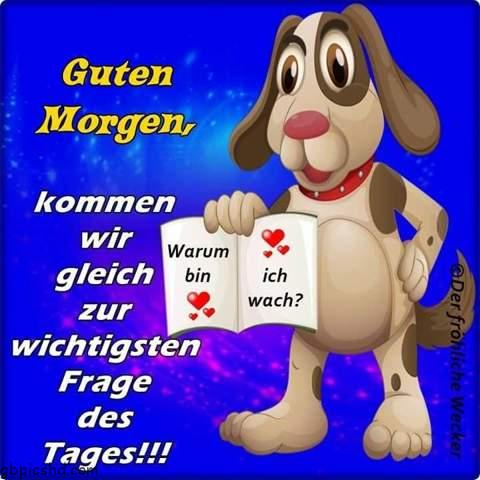 Morgenalle schon wach 41 007