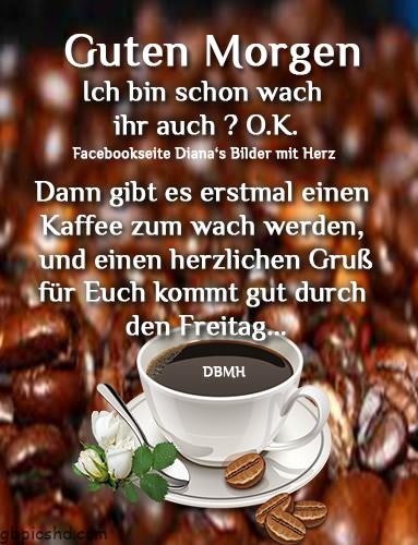 Morgenalle schon wach 41 009