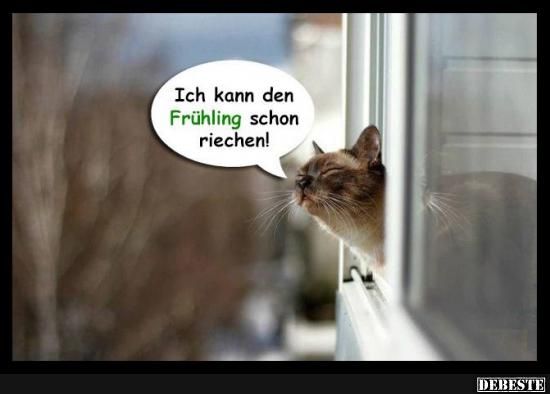 Postkarten fruhling so suuus da kukst du 003