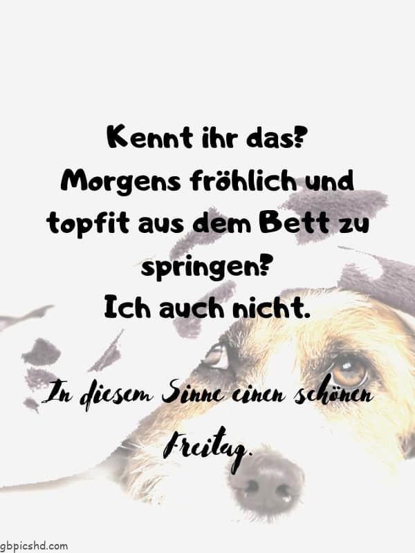 ᐅ schönen freitag bilder - Freitag GB Pics Schonen freitag bilder 025