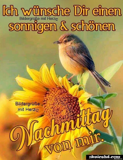 Schonen montag nachmittag bilder 012