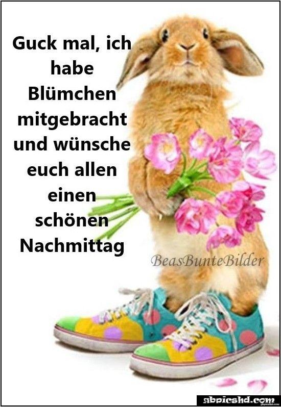 Schonen montag nachmittag bilder 026