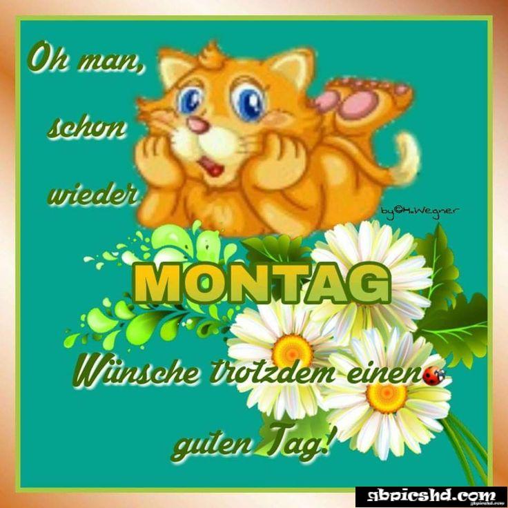 Schonen montag nachmittag bilder 056