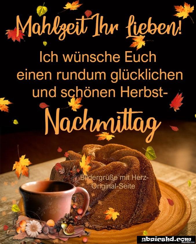 Schonen nachmittag bilder 003