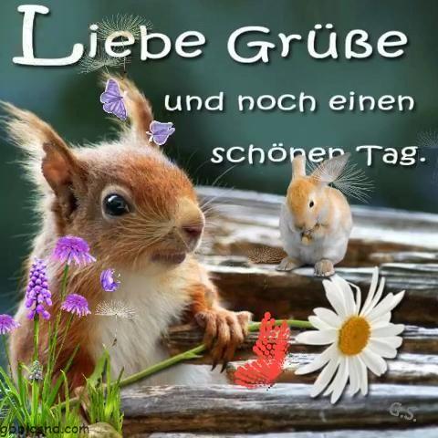 Schonen tag lustig 001