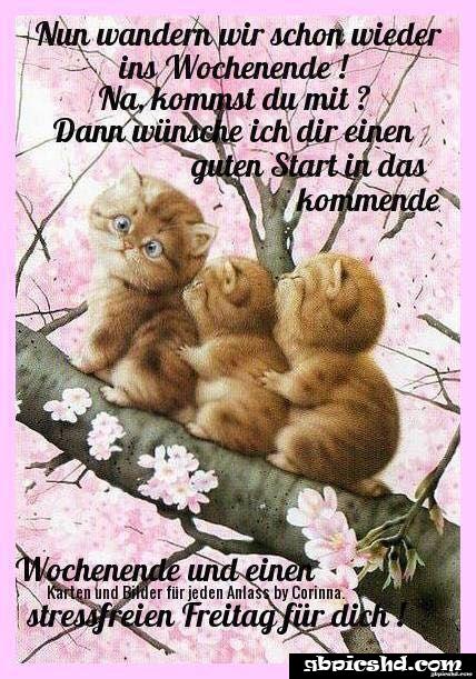 Schones wochenende guten morgen bilder freitag 012