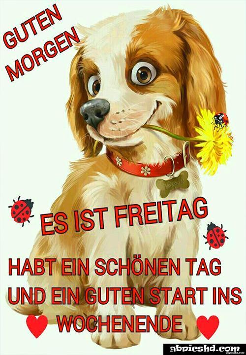 Schones wochenende guten morgen bilder freitag 015