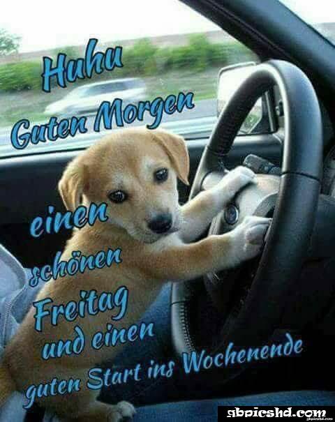 Schones wochenende guten morgen bilder freitag 016