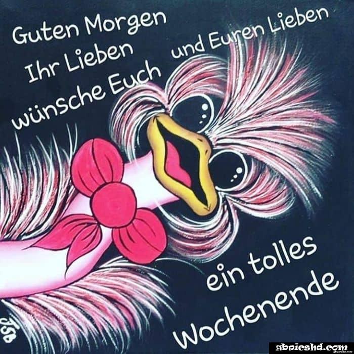 Schones wochenende guten morgen bilder freitag 017