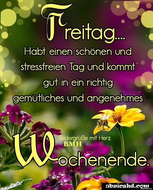 Schones wochenende guten morgen bilder freitag 026