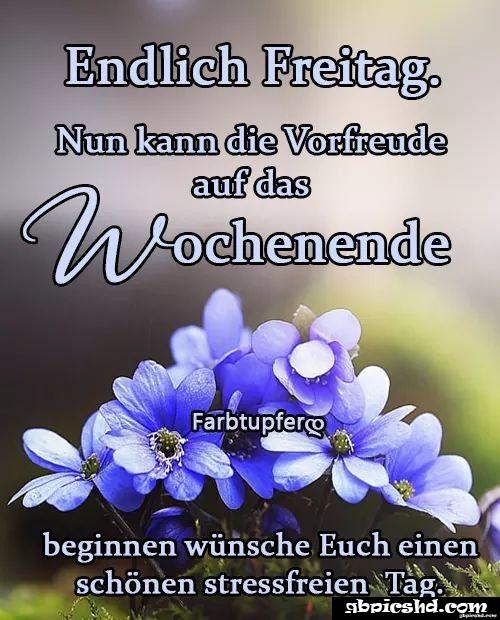 Schones wochenende guten morgen bilder freitag 032