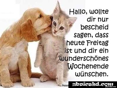 Schones wochenende guten morgen bilder freitag 036