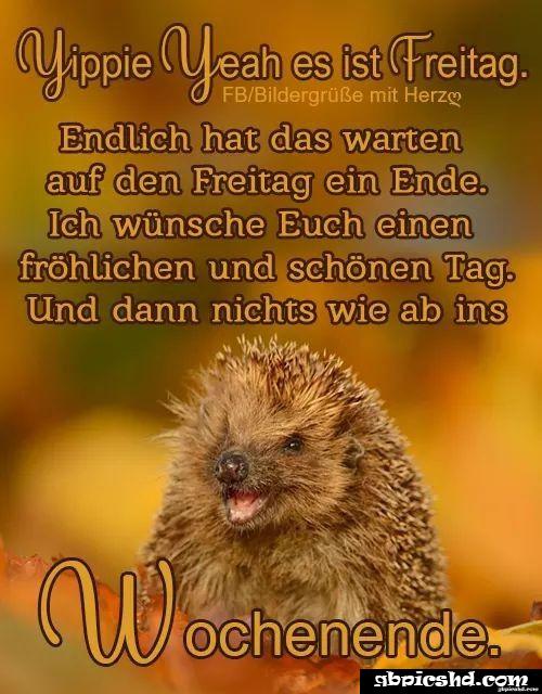 Schones wochenende guten morgen bilder freitag 038
