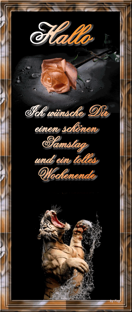 Schones wochenende guten morgen bilder freitag 052