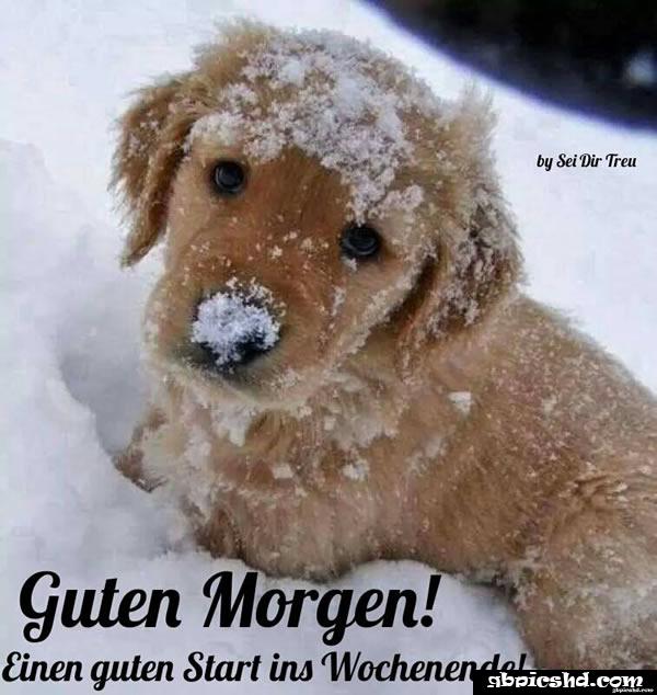 Schones wochenende guten morgen bilder freitag 060