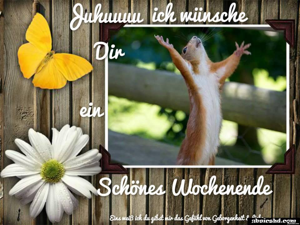 Schones wochenende guten morgen bilder freitag 062