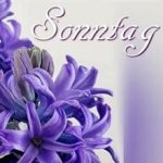 Sonntag