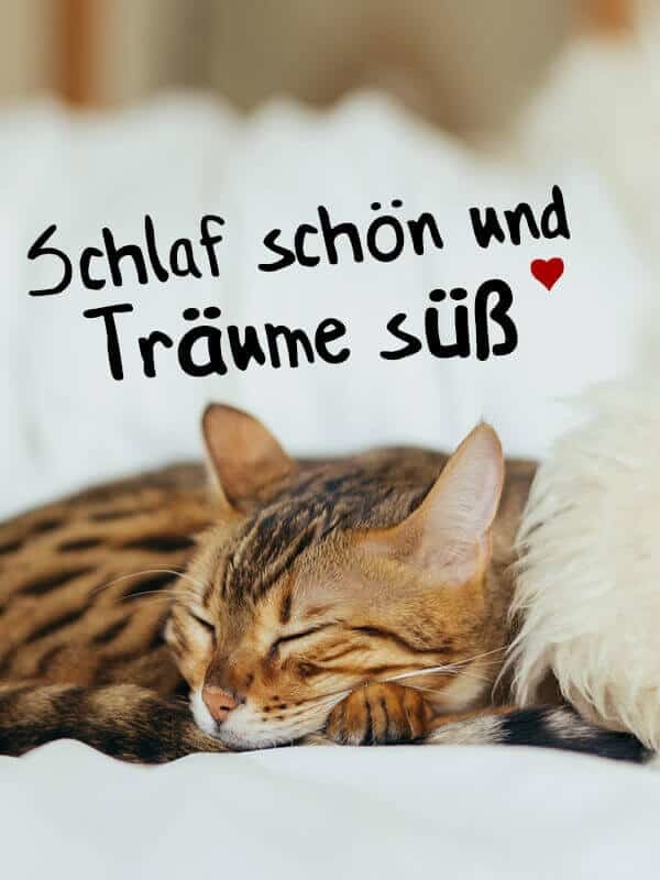 ᐅ Süße gute nacht bilder - Gute Nacht GB Pics Sue gute nacht bilder 018