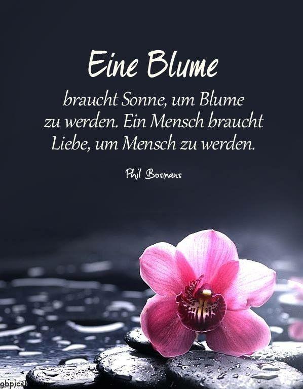una flor necesita el sol para convertirse en una flor un ser humano necesita am