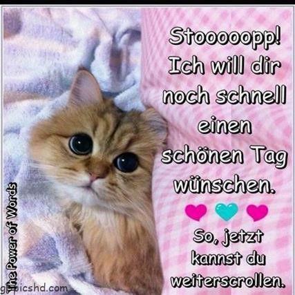 Whatsapp schonen tag 001