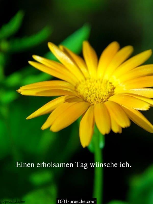 ᐅ whatsapp schönen tag - Schönen Tag GB Pics Whatsapp schonen tag 029